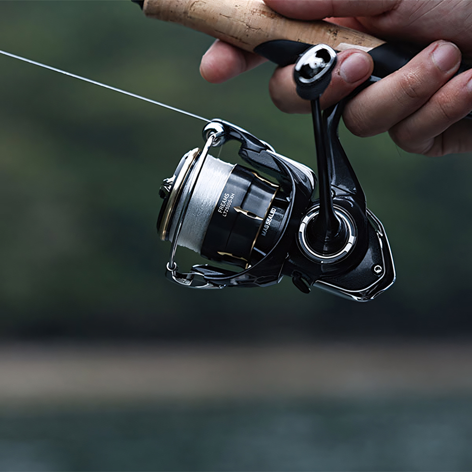 ダイワ 2026 フリームズ スピニングリール、淡水・海水両 - Daiwa Reel Bg のレビューと価格